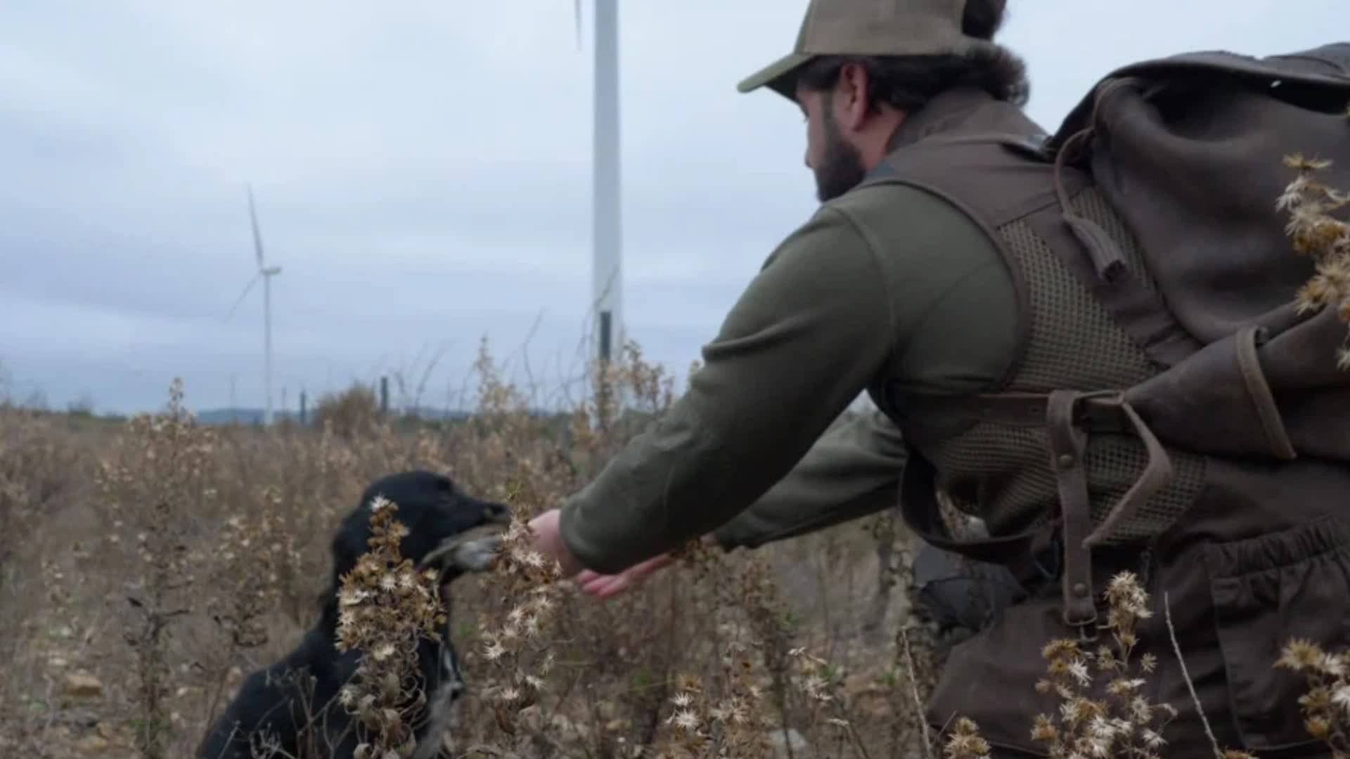 Découverte d'une passion