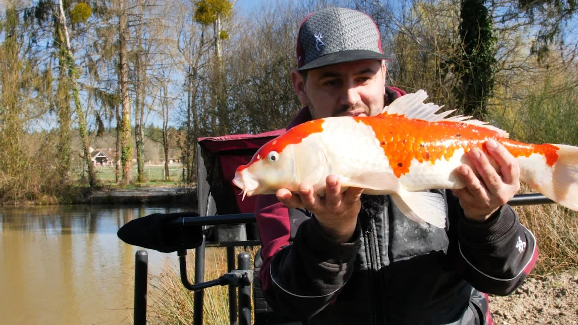 Carpodrome haut en couleurs