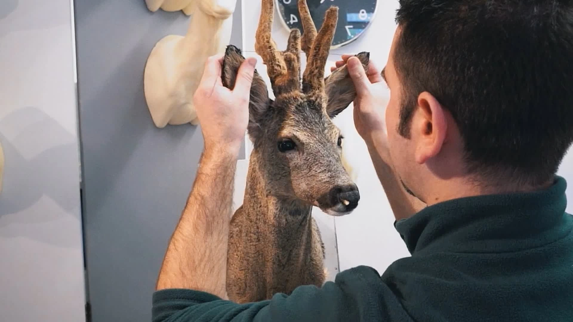 L'art de la naturalisation