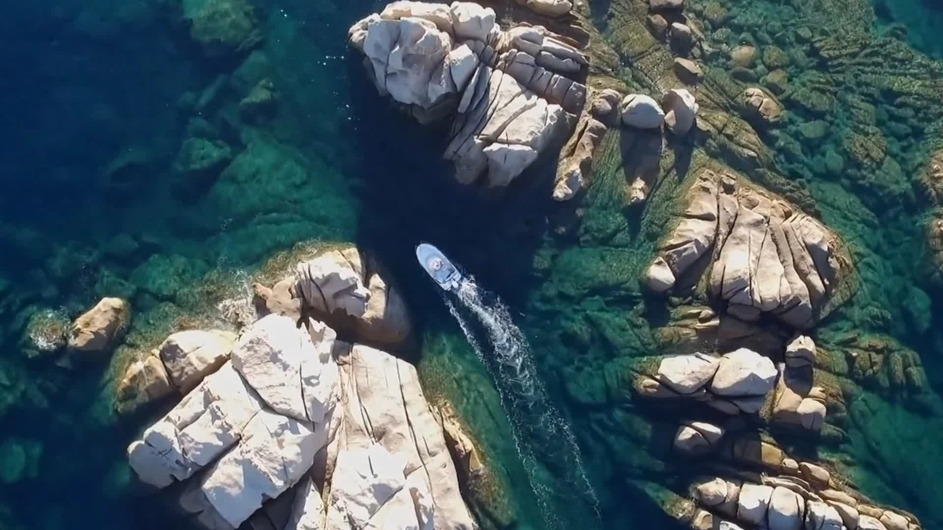 Corsica Spearfishing