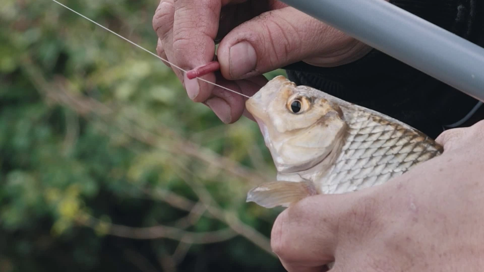 Pêche en étang communal