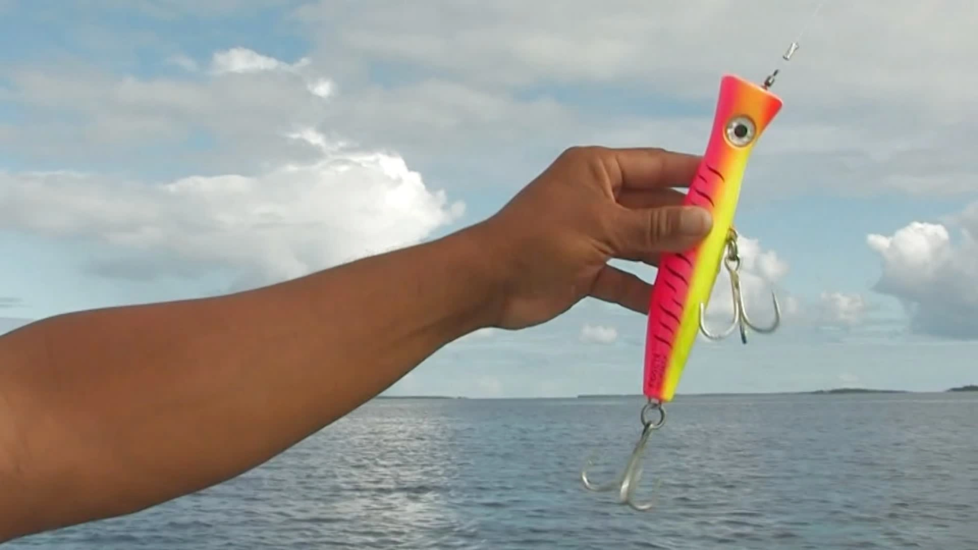 Popper dans le Pacifique