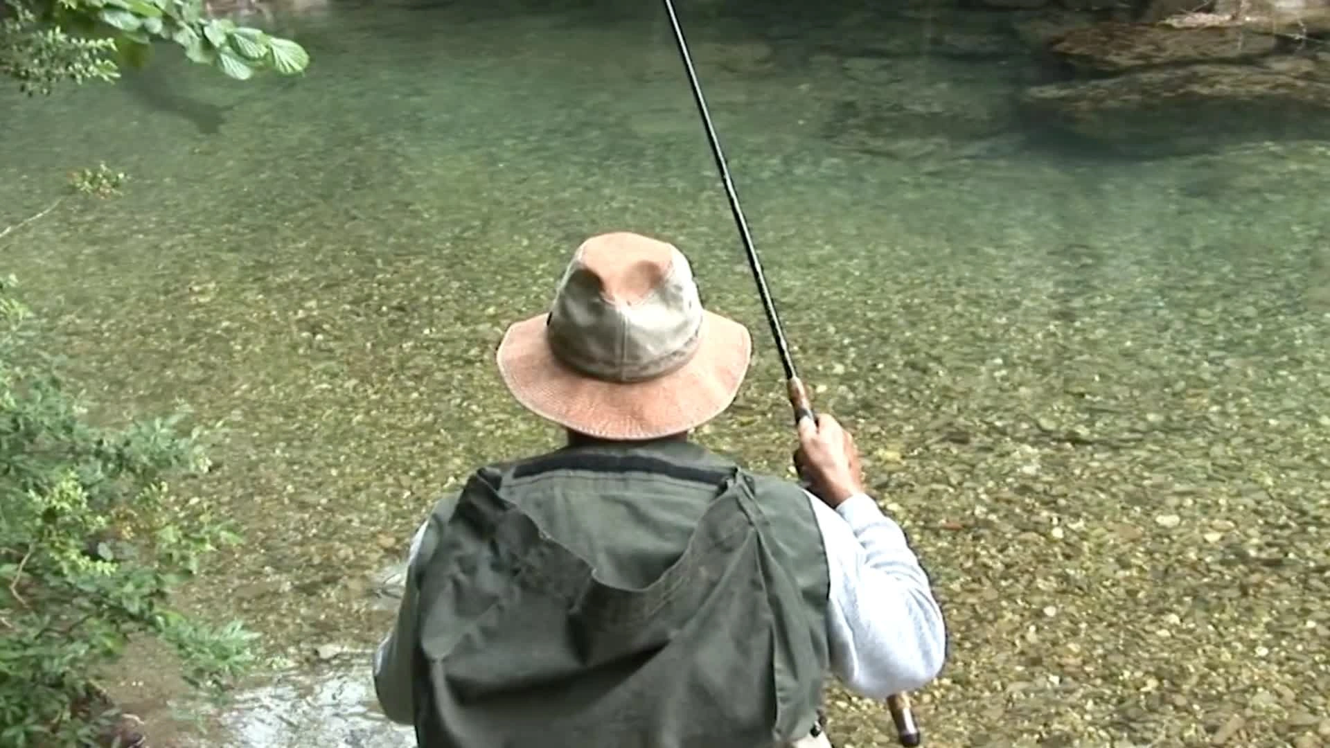 Les Truites de Navacelles