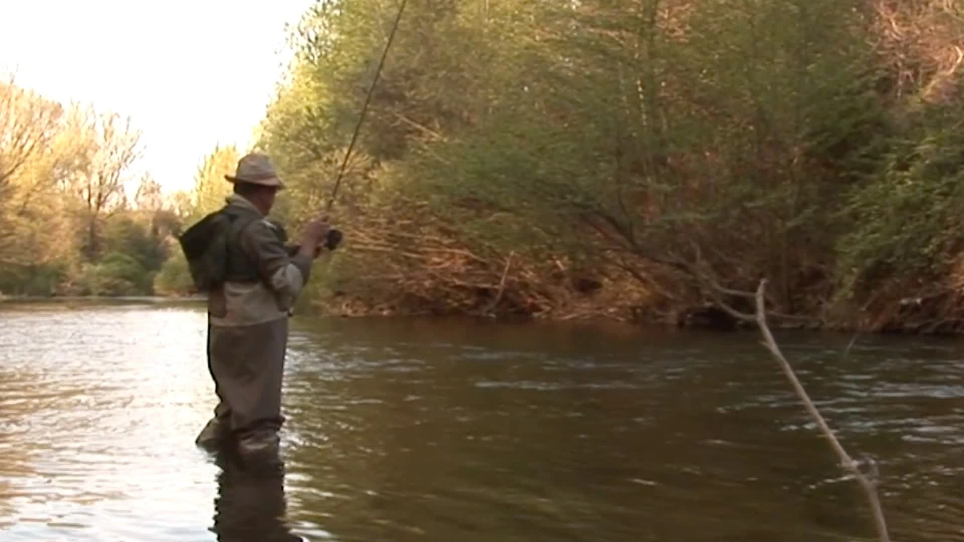 La Truite dans la Vallée de l’Orb