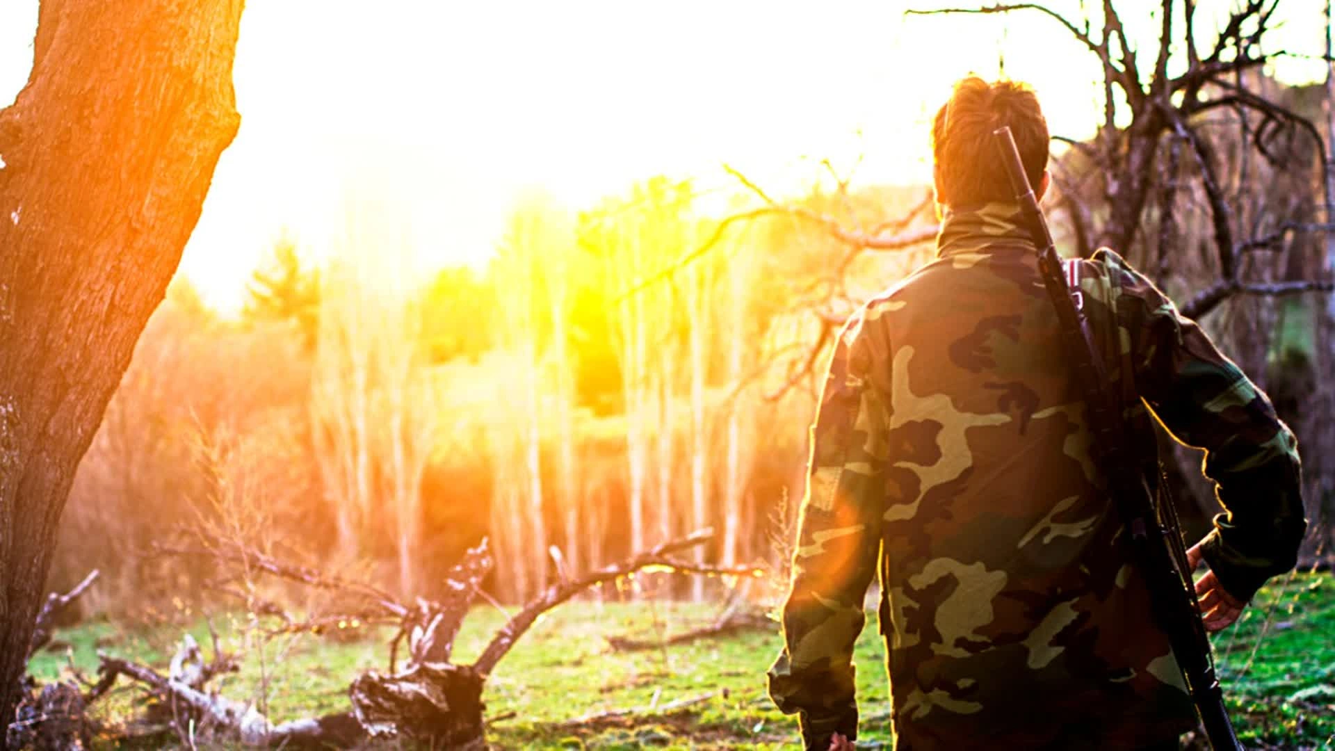 Approche aux sangliers en Turquie