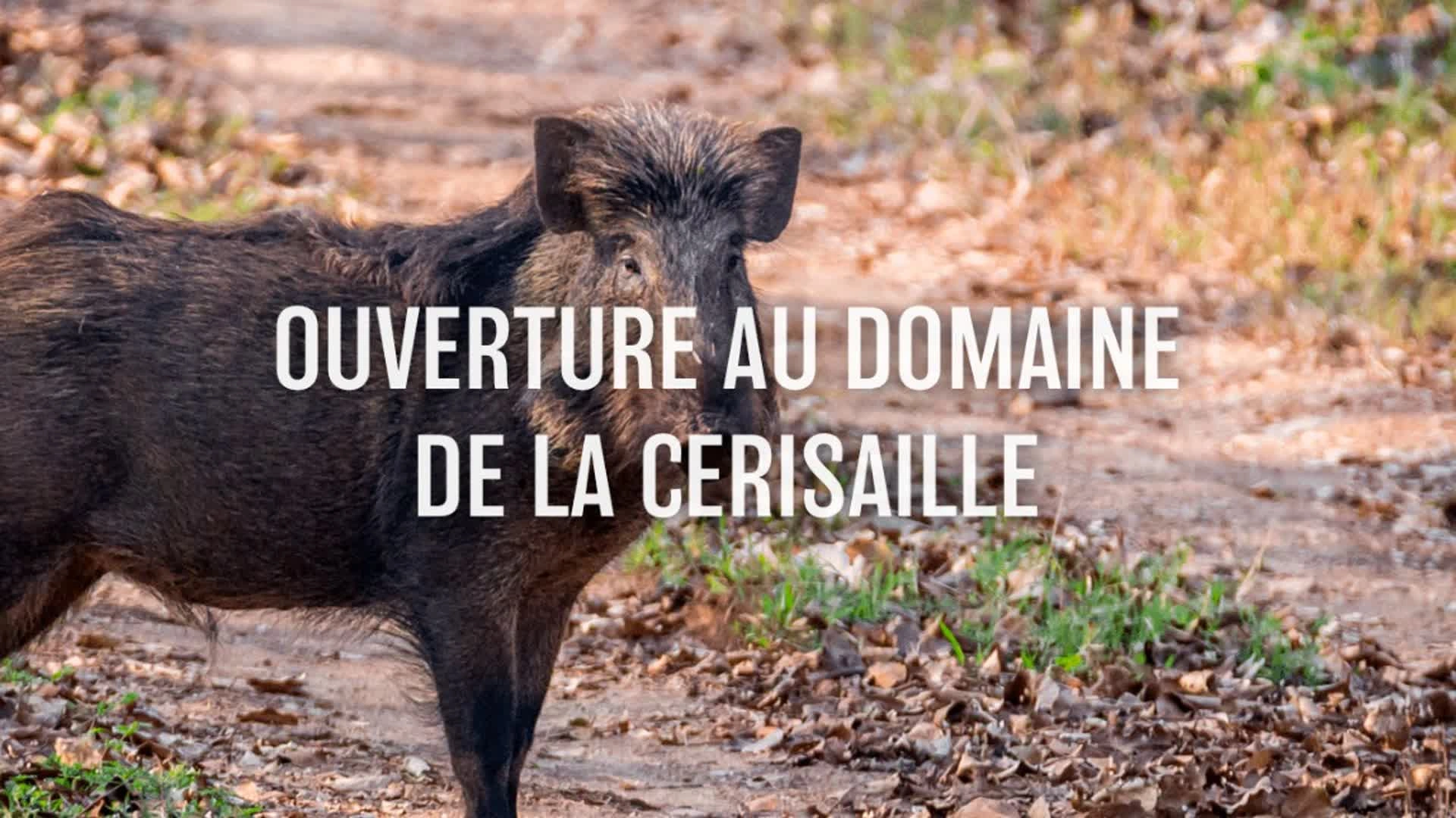 Ouverture au domaine de la Cerisaille