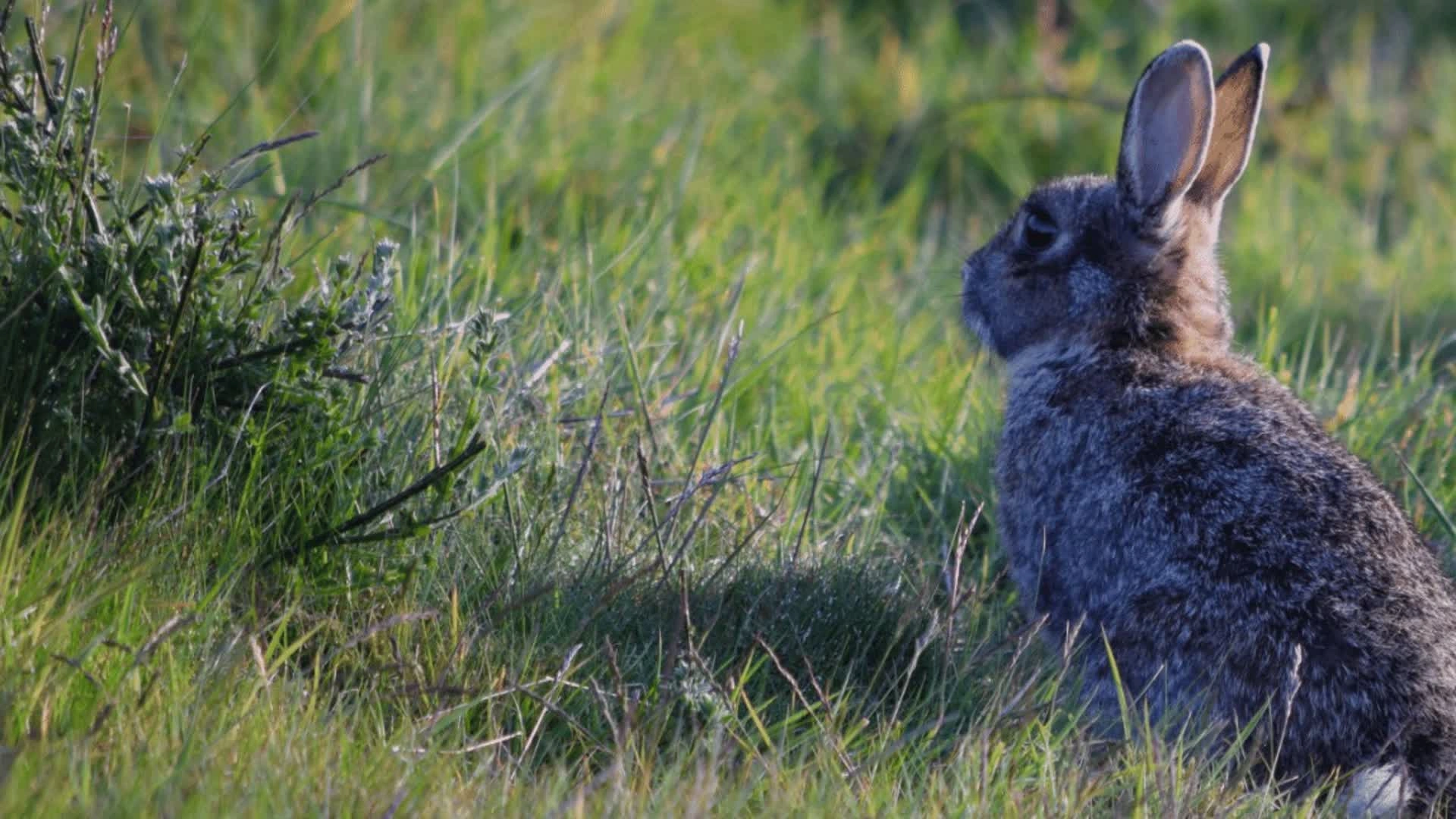 Confluence de Montereau