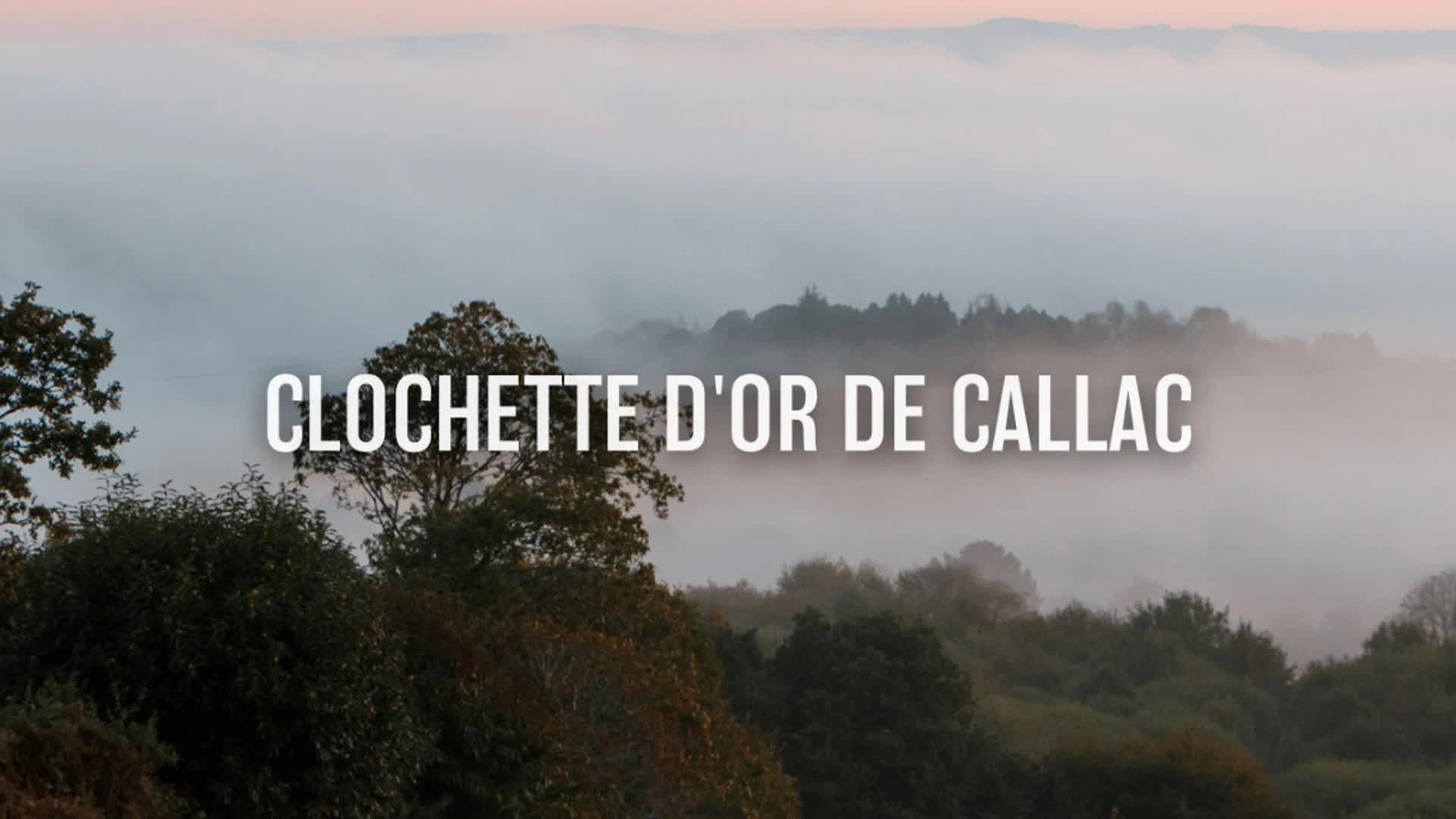 Clochette d'or de Callac