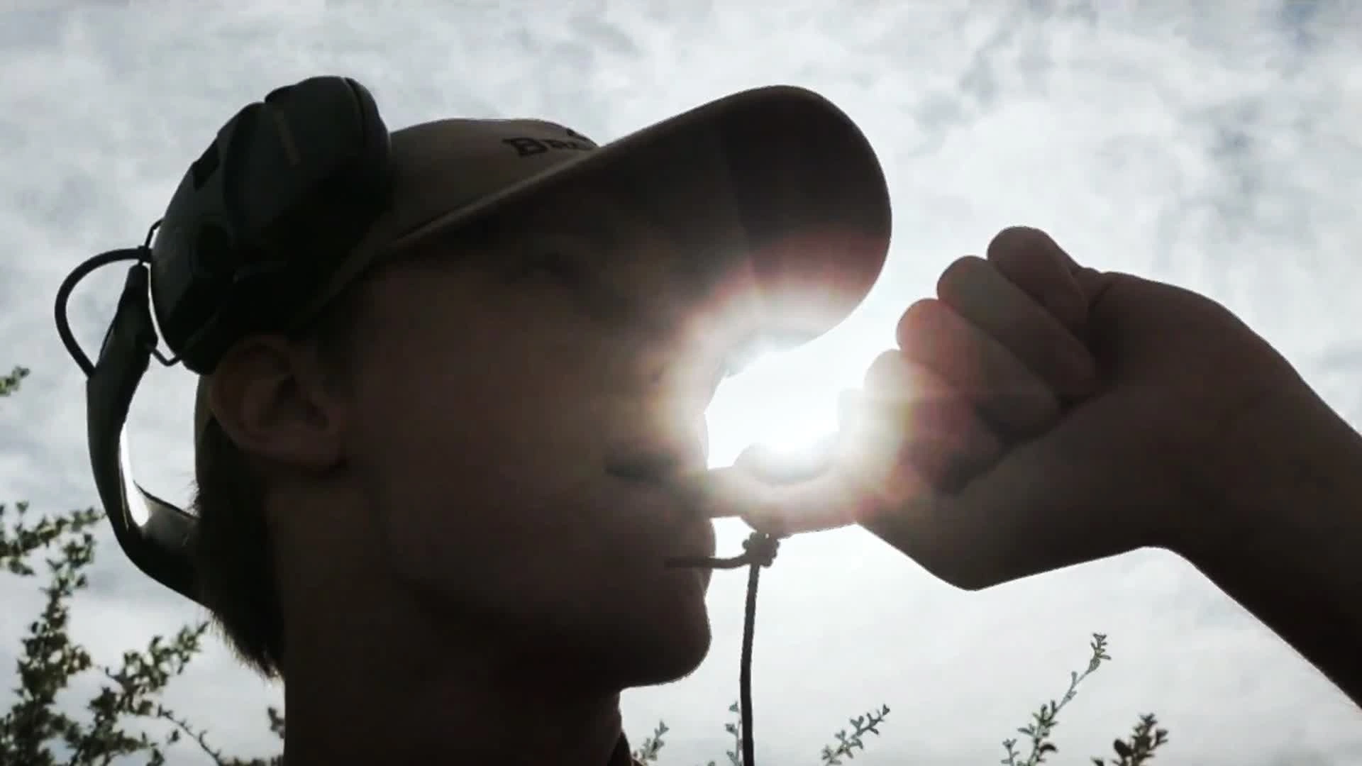 La Jeunesse des bois