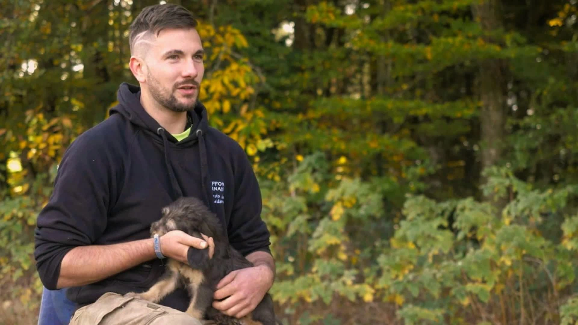 Les chiots et les enfants