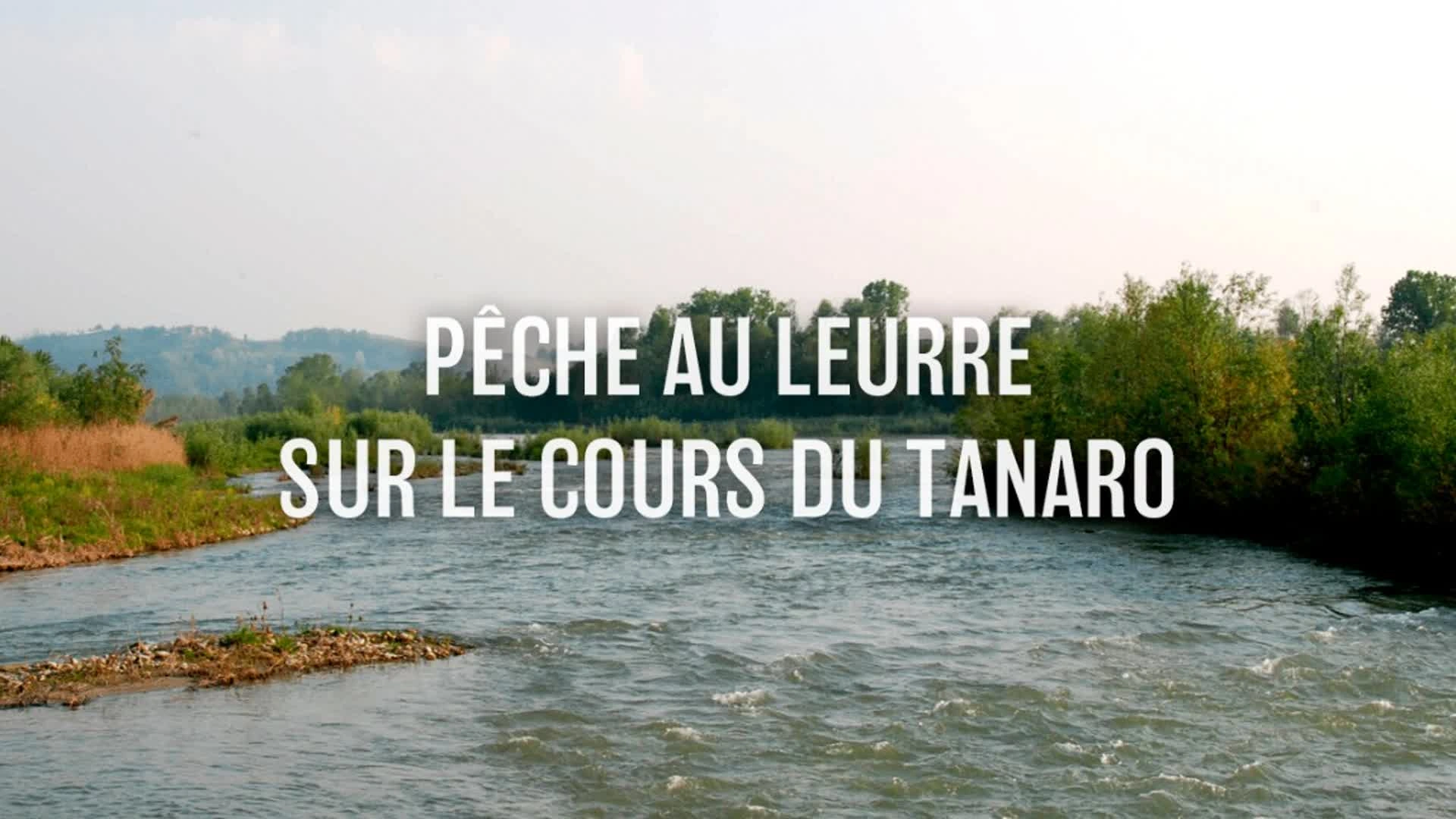 Pêche au leurre sur le cours du Tanaro