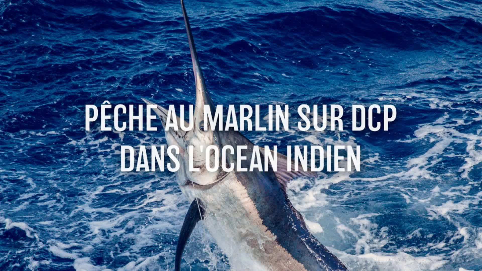 Pêche au marlin sur DCP dans l'Océan Indien