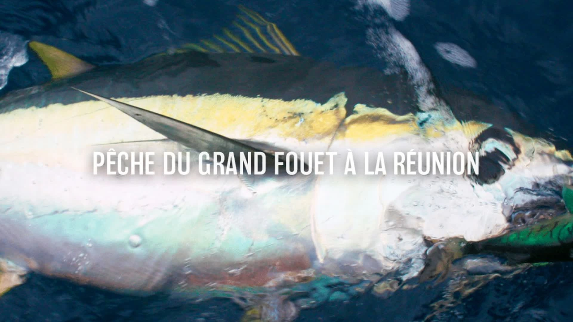 Pêche du grand fouet à la Réunion