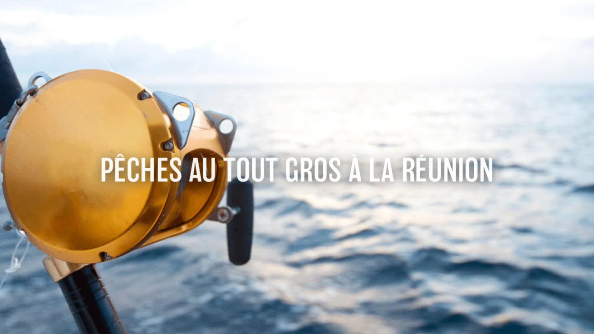 Pêches au tout gros à la Réunion