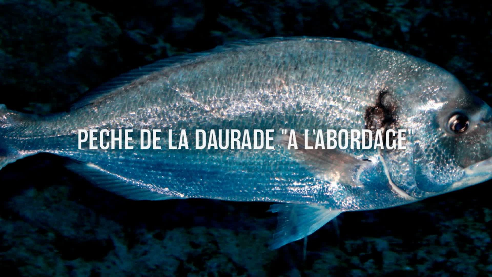 Pêche de la daurade " A l'Abordage"