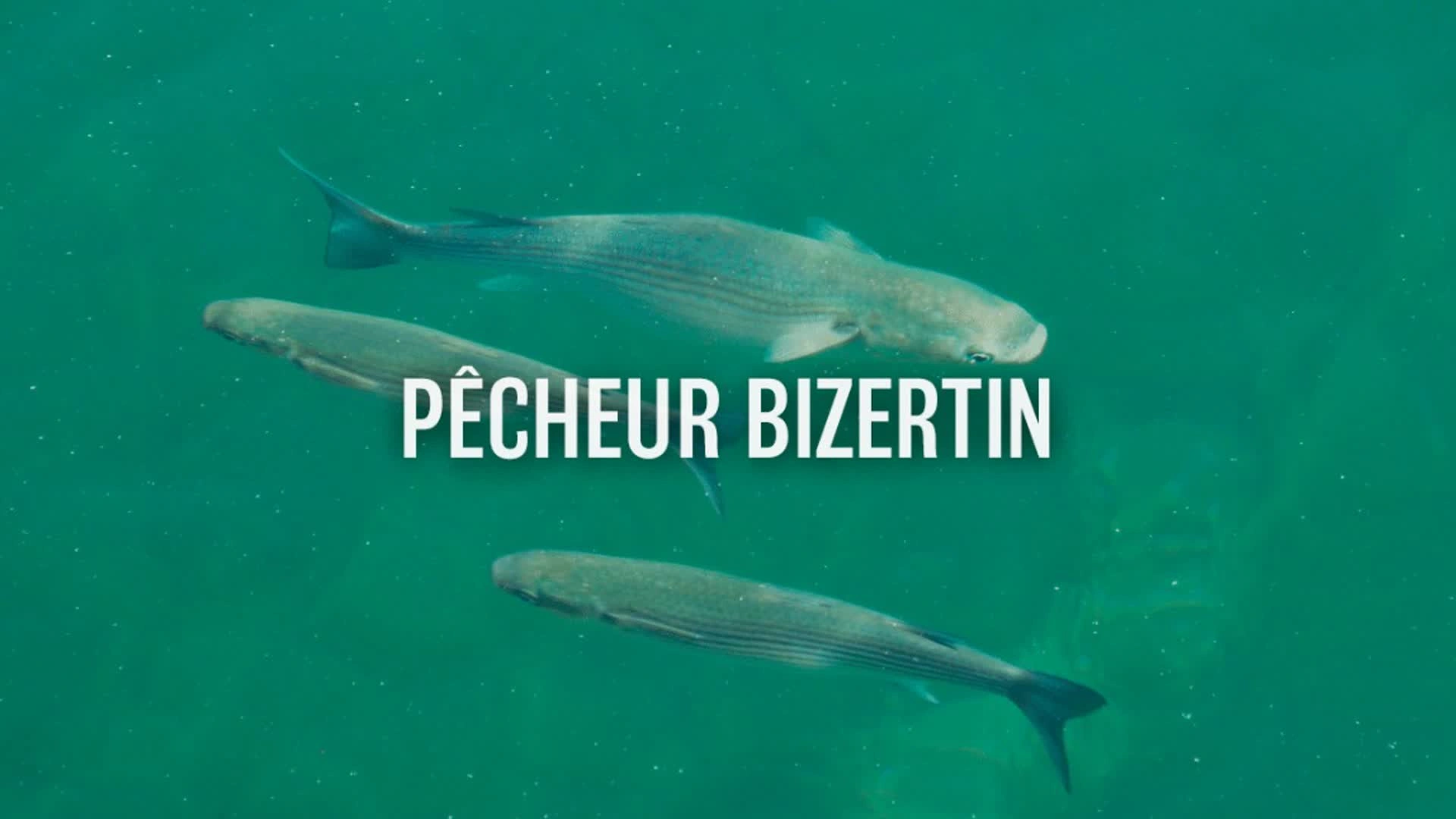 Pêcheur Bizertin