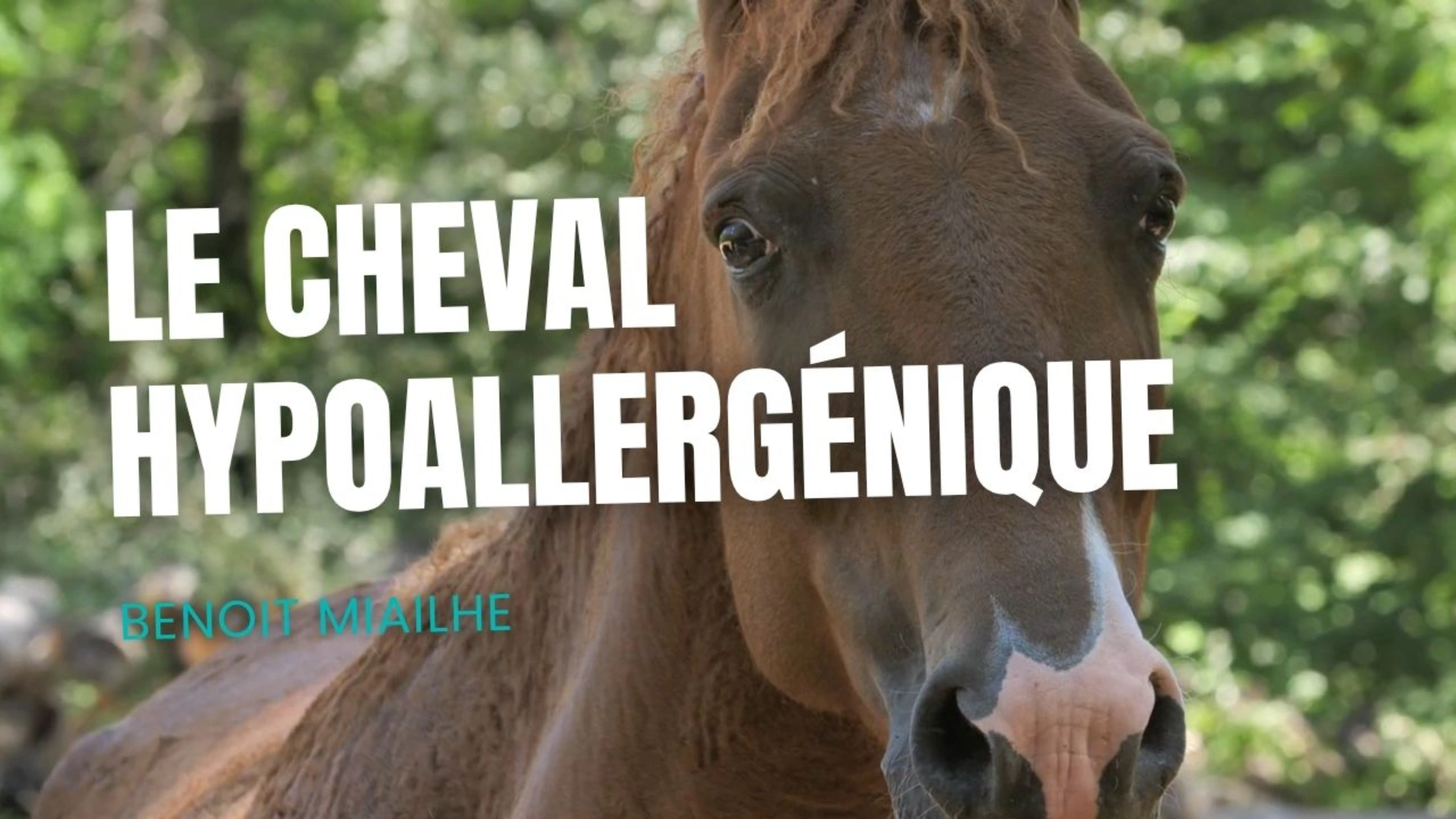 Soulager les allergies : Le Curly de Provence - Série