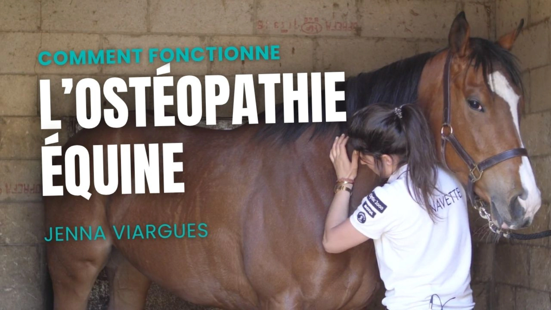 Coment fonctionne l'ostéopathie équine ?