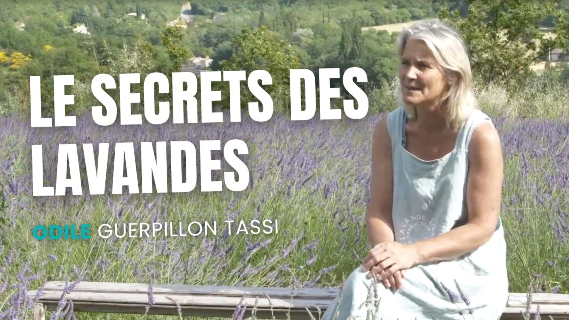 Le secrets des lavandes