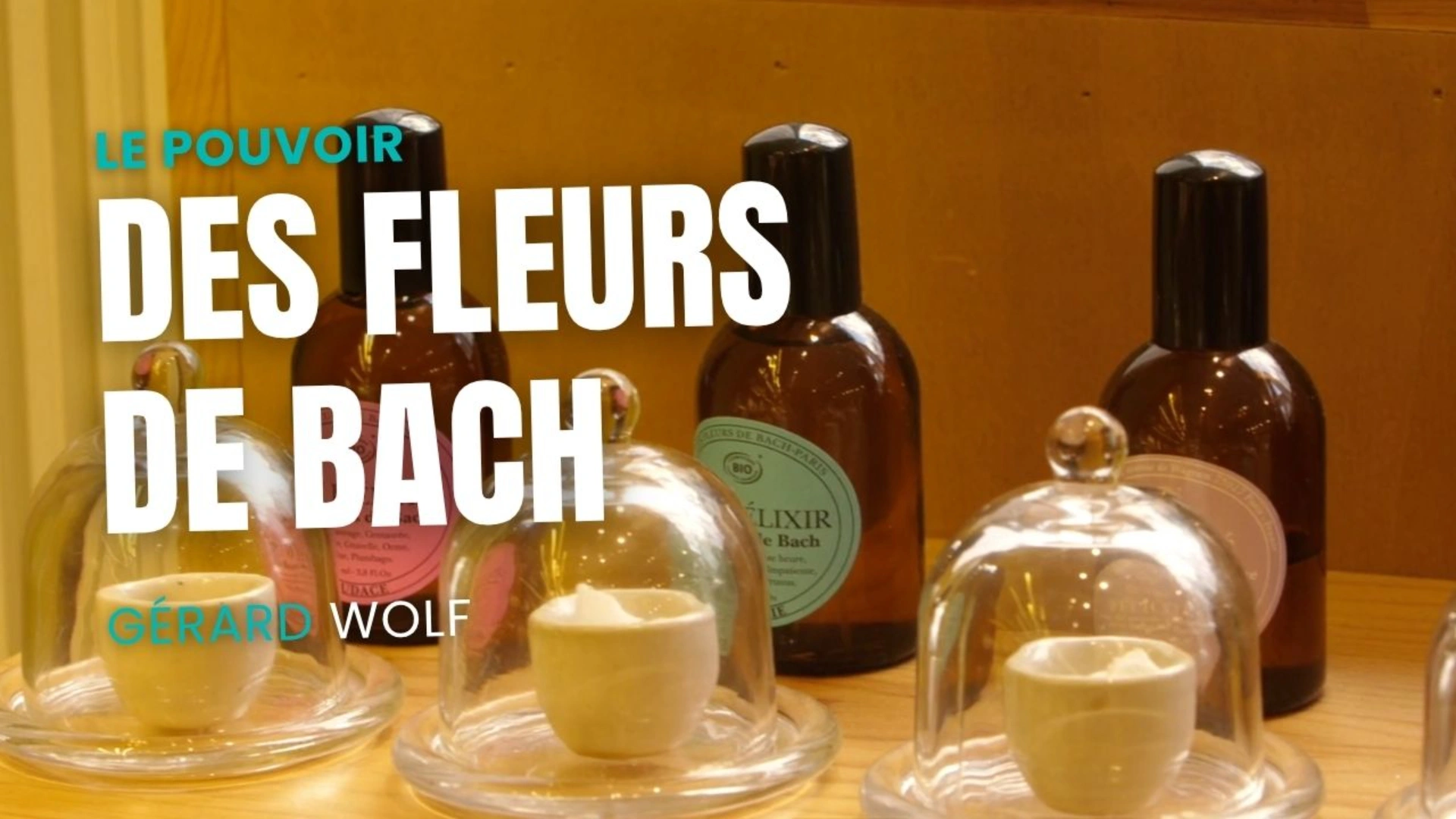 Le pouvoir des Fleurs de Bach