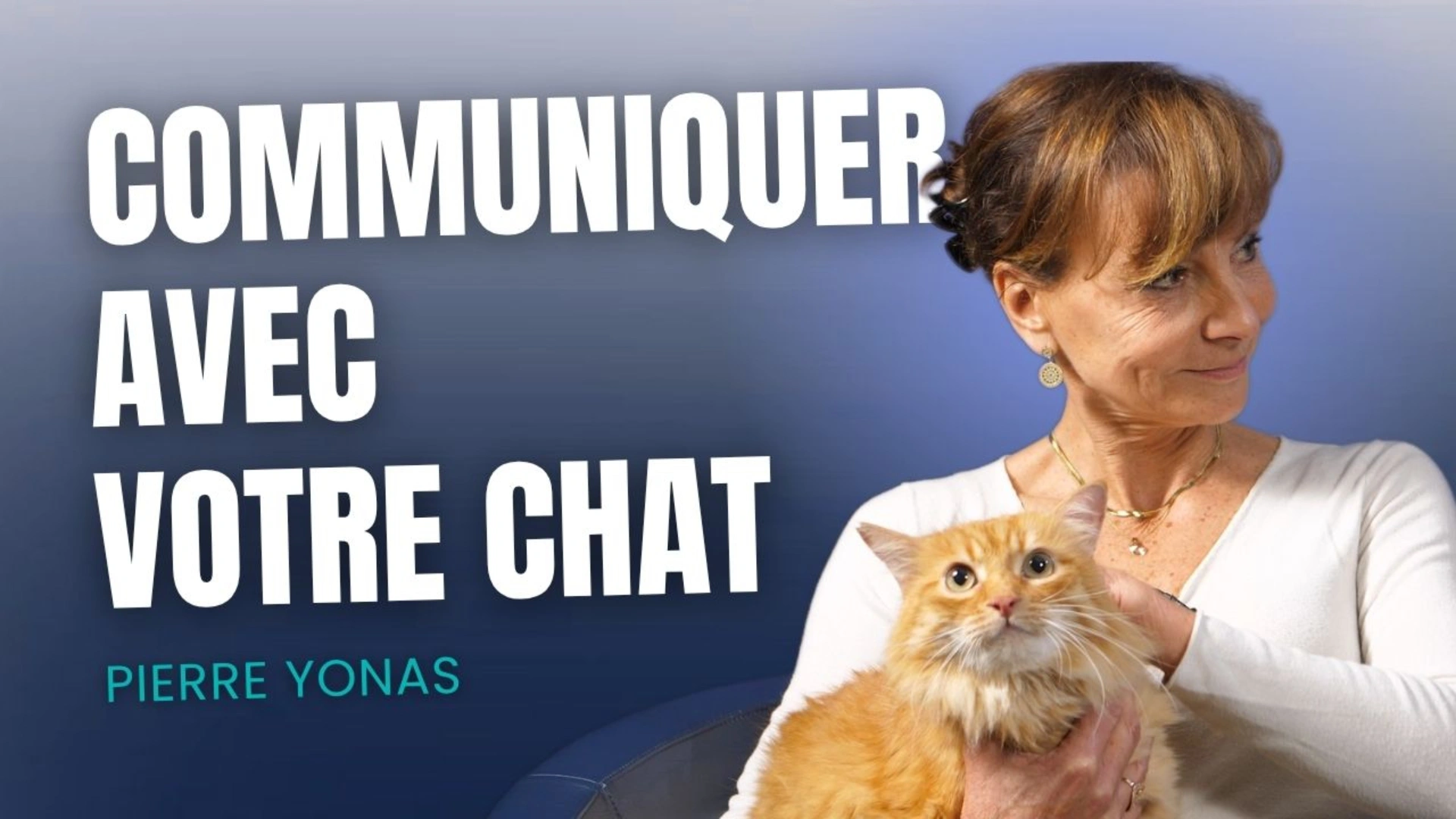Communiquer avec votre chat