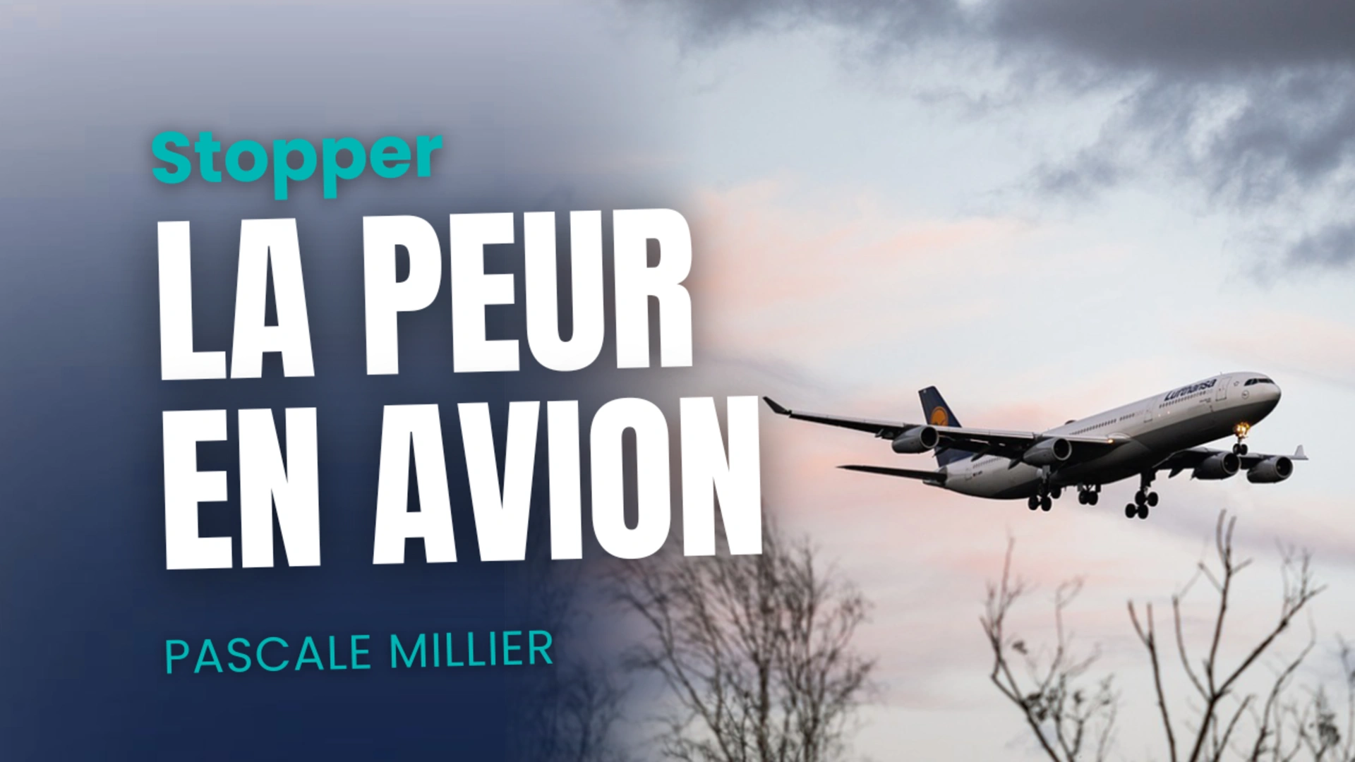 Comment stopper la peur en avion ?