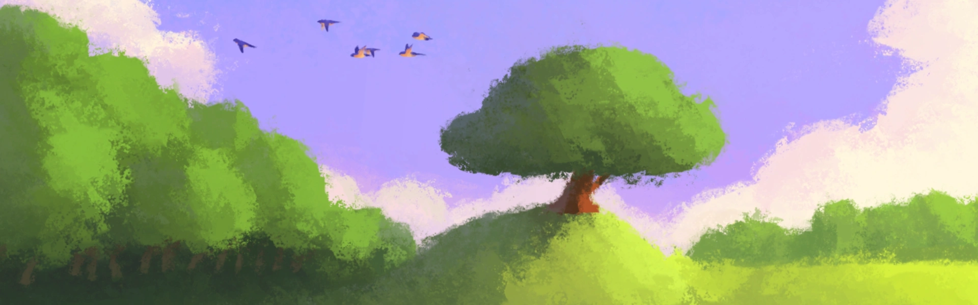 20 minutes to...Be amazed