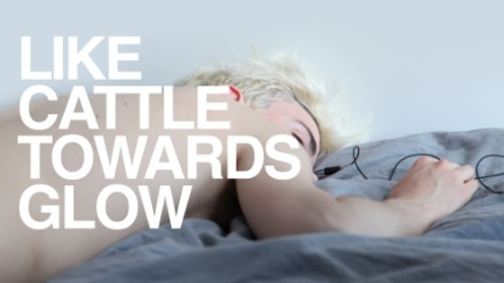 Like Cattle Towards Glow