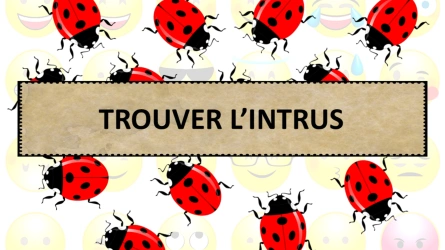 Atelier Mémoire - Trouver l'intrus