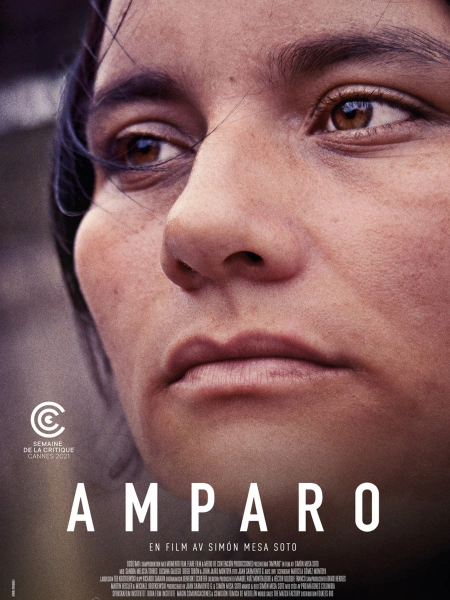 Amparo