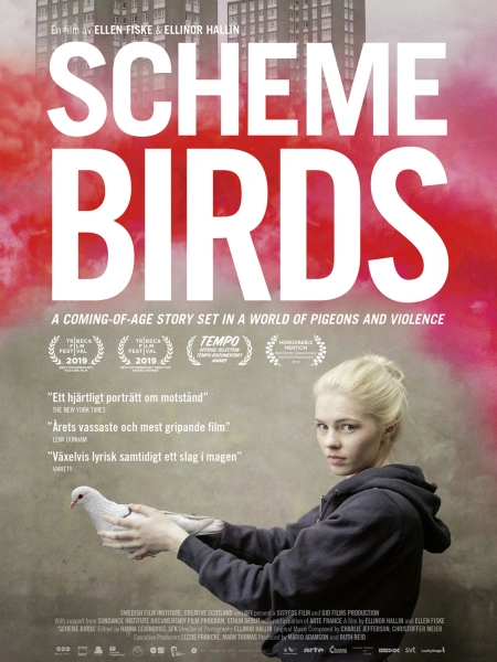 Scheme Birds