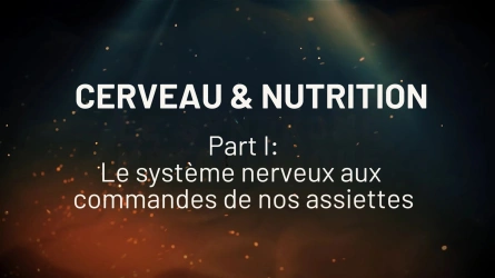 Cerveau et Nutrition: Le système nerveux aux commandes de nos assiettes