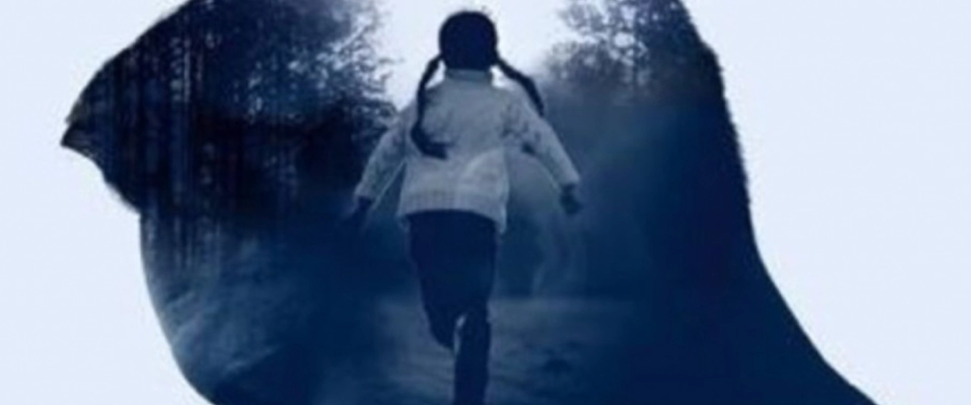 Allemagne: Comment la police traque les pédocriminels