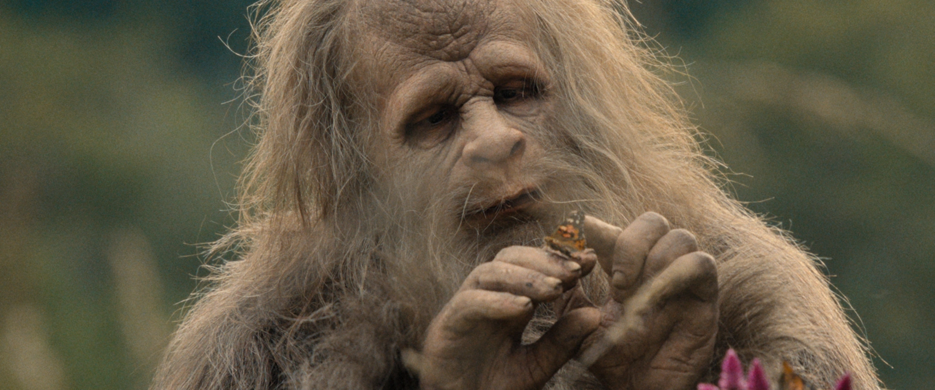 O Crepúsculo do Pé Grande