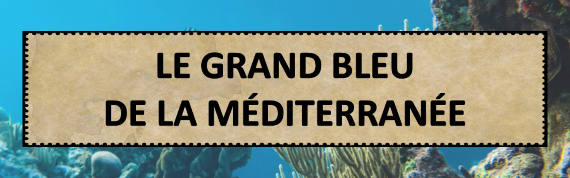 Livre Le Grand Bleu de la Méditerranée