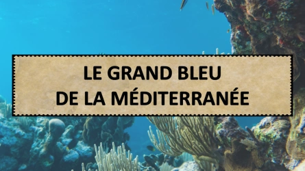 Livre Le Grand Bleu de la Méditerranée