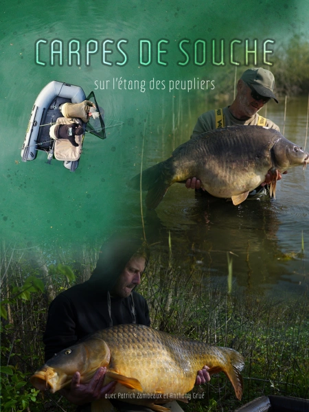 "CARPES DE SOUCHE" sur l'étang des peupliers.