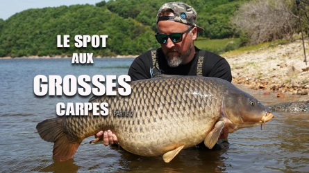 Le Spot Aux Grosses Carpes - Deuxième partie