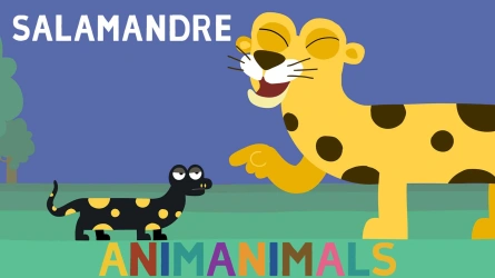 Salamandre (Animanimals)