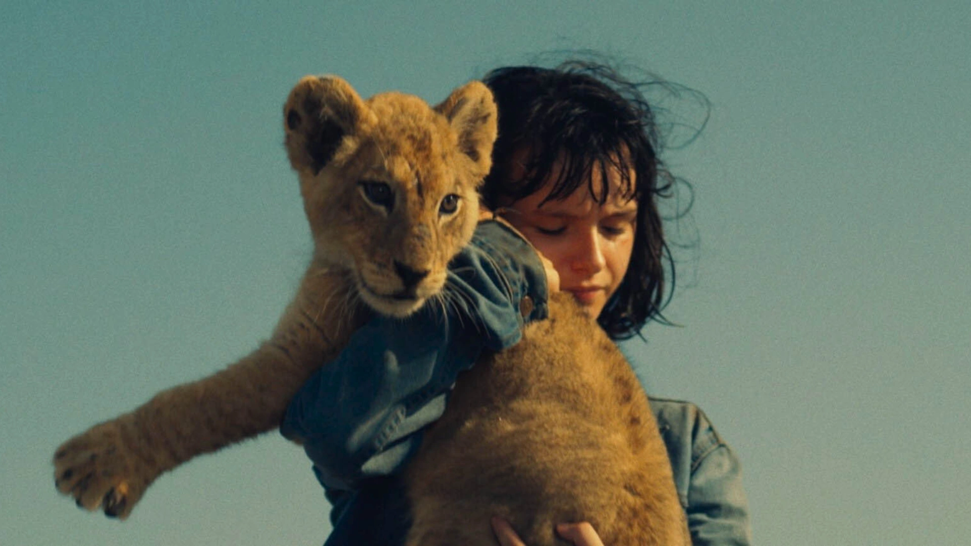 King – un cucciolo da salvare