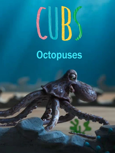 Octopuses (Cubs)