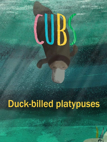 Platypuses (cubs)
