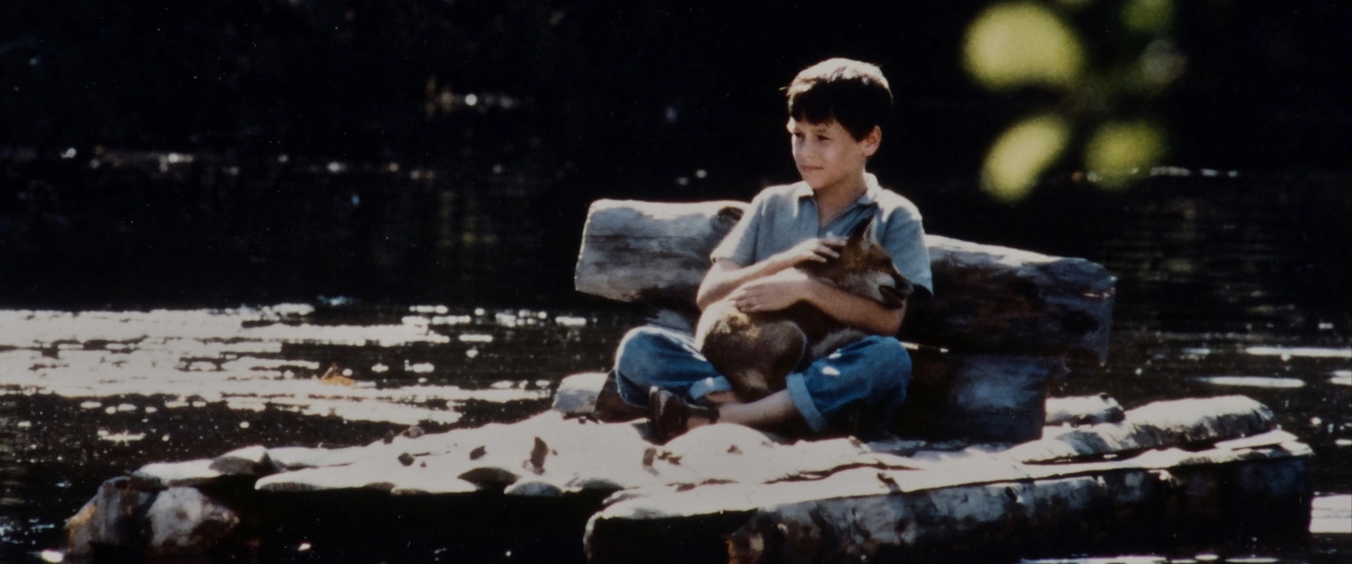 All the little animals