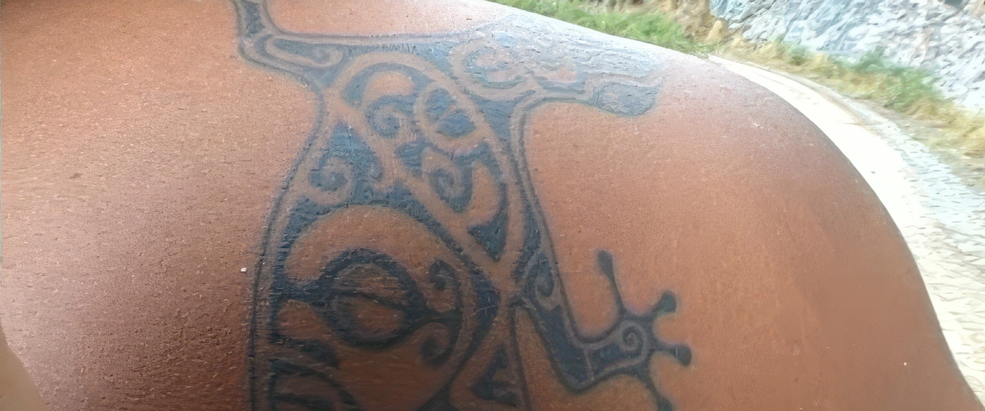 Journal des îles - L'arbre lézard de Hakamoui