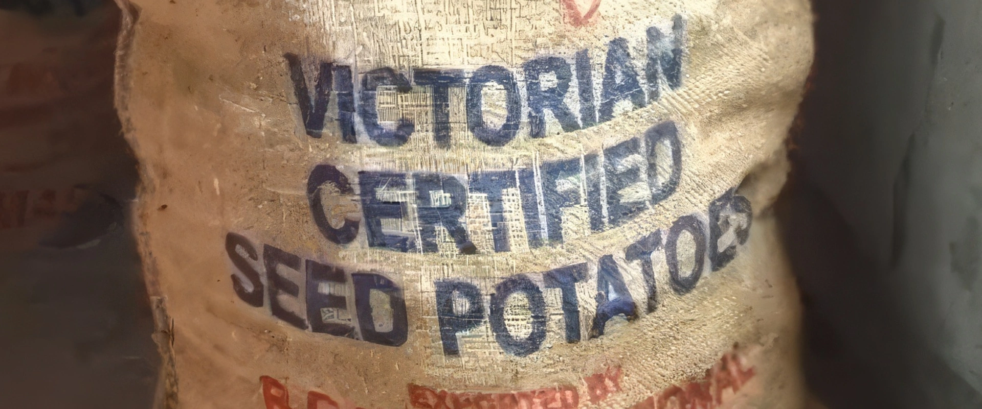 Journal des îles - Umara putete