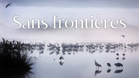 Sans Frontières