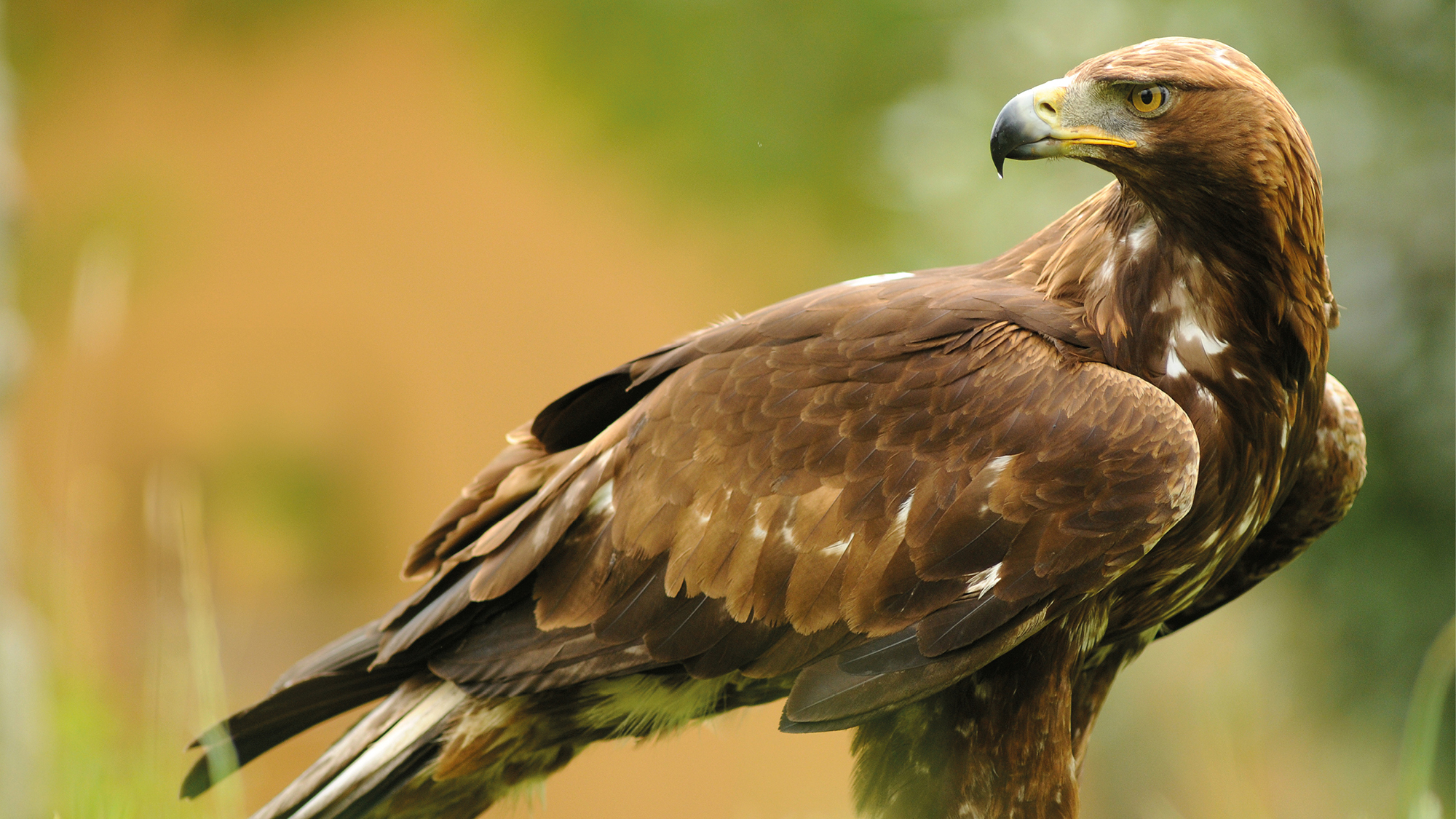 La Vallée oubliée des hommes