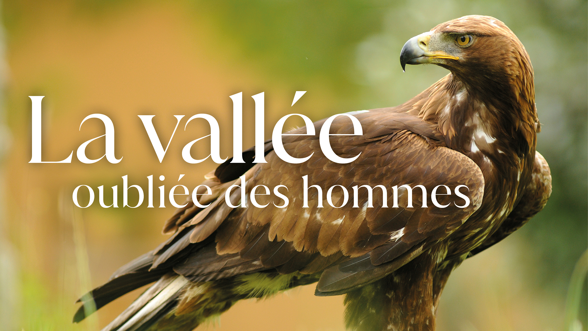La Vallée oubliée des hommes