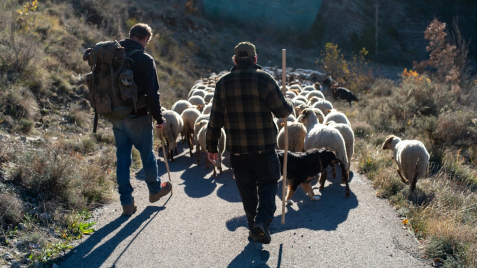 Vivre avec les loups