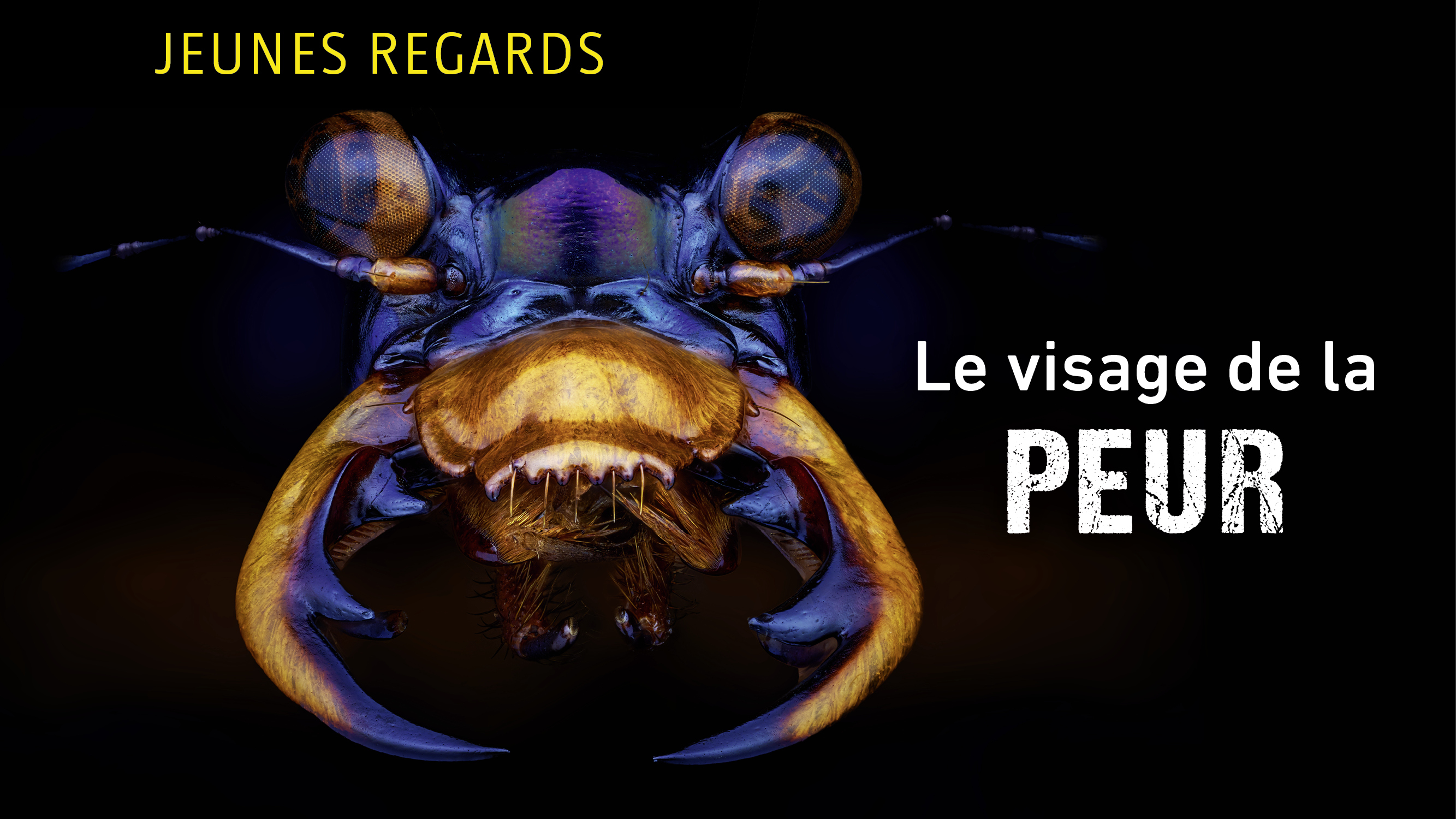 Le visage de la peur